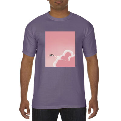 Aeroplane dream in pink  Thumbnail